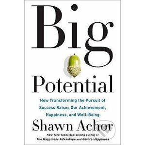 Big Potential - Shawn Achor
