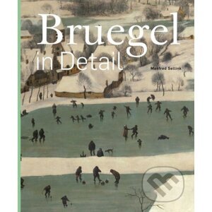 Bruegel in Detail - Manfred Sellink