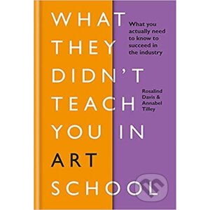 What They Didnt Teach You in Art School - Annabel Tilley, Rosalind Davis