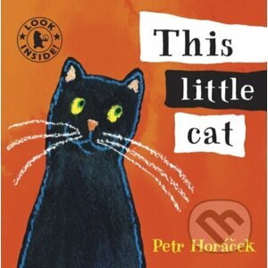 This Little Cat - Petr Horacek