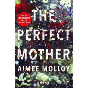 The Perfect Mother - Aimee Molloy