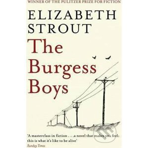 The Burgess Boys - Elizabeth Stroutová