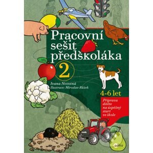 Pracovní sešit předškoláka 2 - Ivana Novotná, Miroslav Růžek (ilustrátor)