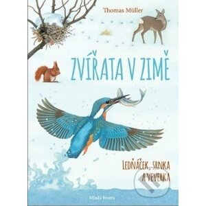 Zvířata v zimě: Ledňáček, srnka a veverka - Thomas Müller