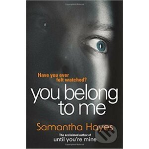 You Belong To Me - Sam Hayes