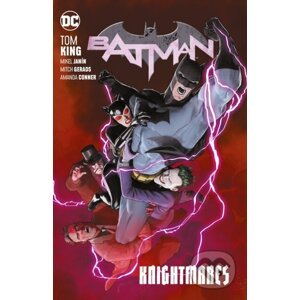 Batman (Volume 10) - Tom King