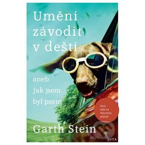 E-kniha Umění závodit v dešti - Garth Stein