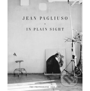 In Plain Sight - Jean Pagliuso
