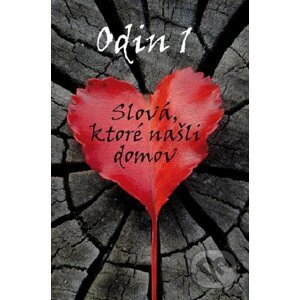 E-kniha Odin 1 - MERIDIANO-press