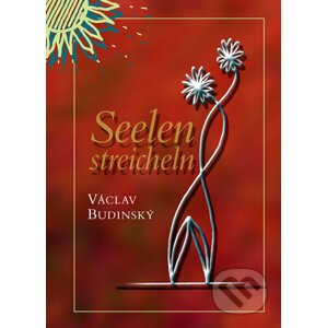 Seelen streicheln - Václav Budinský