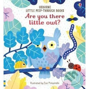 Are you there little owl? - Sam Taplin, Essi Kimpimaki (ilustrácie)