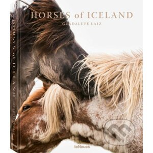 Horses of Iceland - Guadalupe Luiz