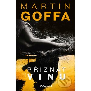E-kniha Přiznat vinu - Martin Goffa