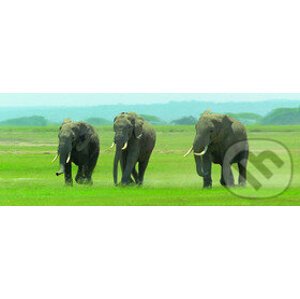 Záložka Úžaska Dusající sloni - ABC Develop
