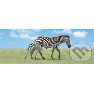 Záložka Úžaska Zebra s mládětem - ABC Develop