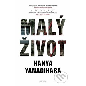 E-kniha Malý život - Hanya Yanagihara