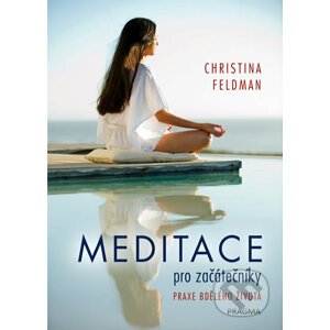 Meditace pro začátečníky - Christine Feldman