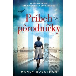E-kniha Príbeh pôrodníčky - Mandy Robotham