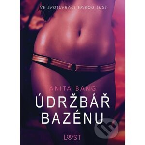 E-kniha Údržbář bazénu – Sexy erotika - Anita Bang