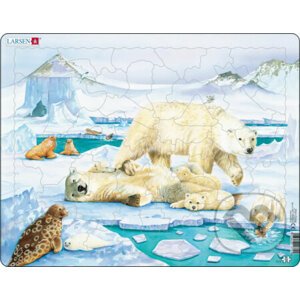 Animals - ľadové medvede FH5 - Larsen
