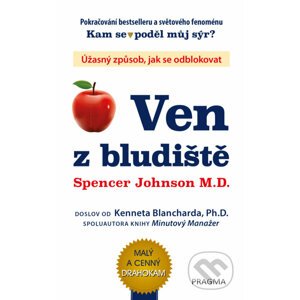 E-kniha Ven z bludiště - Johnson Spencer