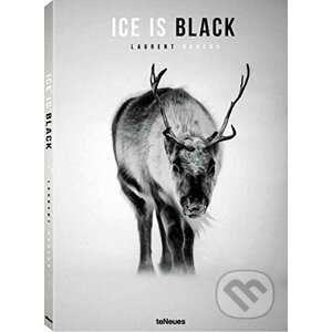 Ice is Black - Laurent Baheux