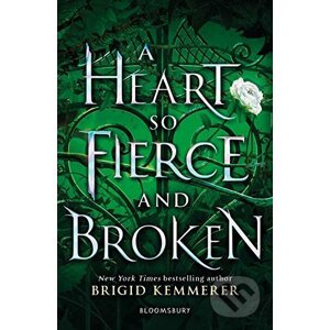 A Heart So Fierce and Broken - Brigid Kemmerer