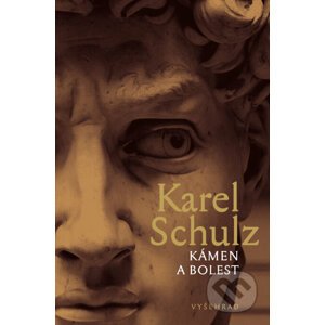 E-kniha Kámen a bolest - Karel Schulz
