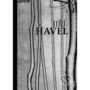 The Best of Jiří Havel - Jiří Havel