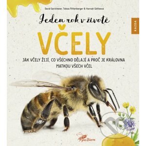 Jeden rok v životě včely - Hannah Götte, Tobias Miltenberger, David Gerstmeier