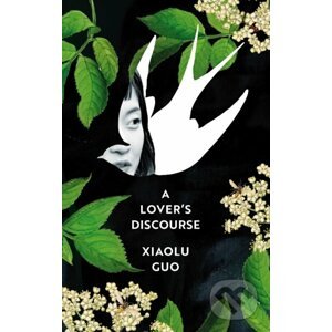 A Lover's Discourse - Xiaolu Guo