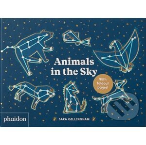 Animals in the Sky - Sara Gillingham