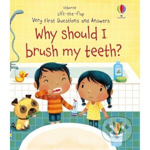 Why Should I Brush My Teeth? - Katie Daynes, Marta Alvarez Miguens (Ilustrátor)