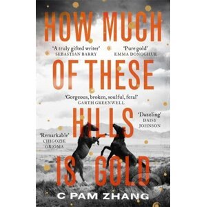 How Much of These Hills is Gold - C Pam Zhang