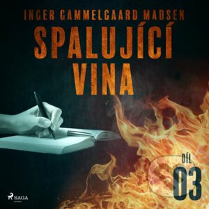 Spalující vina - Díl 3 - Inger Gammelgaard Madsen