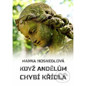E-kniha Když andělům chybí křídla - Hanka Hosnedlová