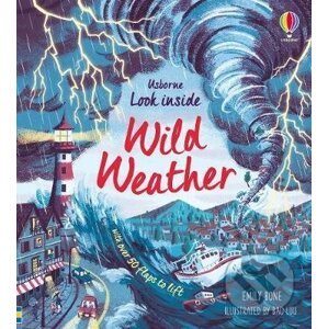 Wild Weather - Emily Bone, Bao Luu (ilustrácie)