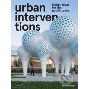 Urban Intervention - Wang Shaoqiang