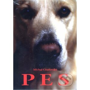 Pes - Michal Císařovský