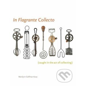 In Flagrante Collecto - Marilynn Gelfman Karp
