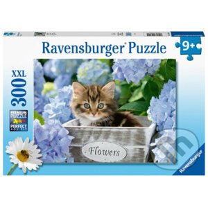 Malé kočky - Ravensburger