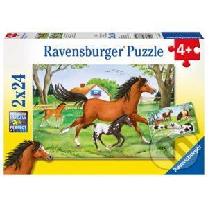 Svět koní - Ravensburger