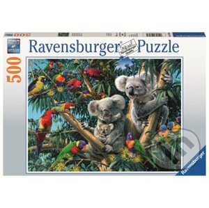 Koaly na stromě - Ravensburger