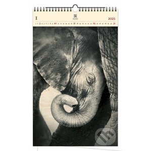 Little Elephant - Helma365