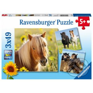 Sladcí koně - Ravensburger