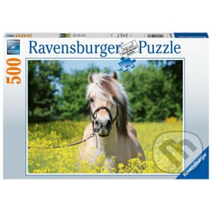 Plavý kůň - Ravensburger