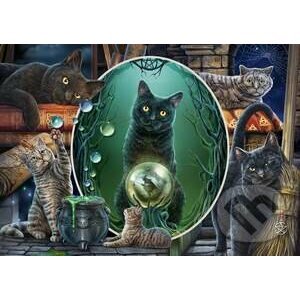 Magical cats - Schmidt