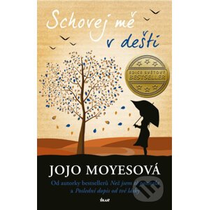 E-kniha Schovej mě v dešti - Jojo Moyes