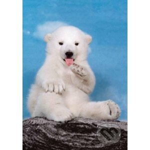 Polar bear - Clementoni