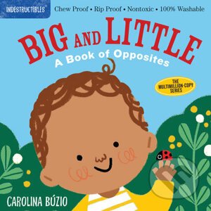 Big and Little - Carolina Búzio (Ilustrátor), Amy Pixton